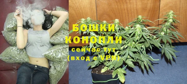 прущая мука Богданович