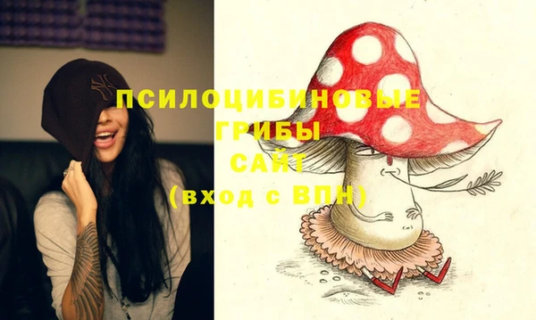 тгк Богородск
