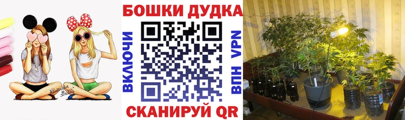 hydra зеркало  Малоярославец  Бошки марихуана Amnesia  купить закладку 